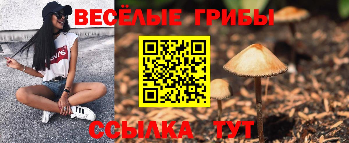 Новоалександровск  Галлюциногенные грибы MAGIC MUSHROOMS  Вход с VPN 